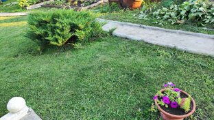 ЛайфХаки для Дачи