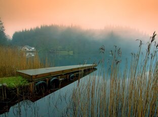 Лаунж видео