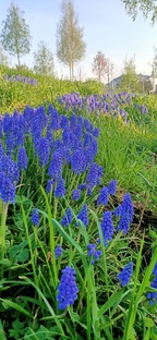 Жизнь после 35