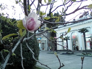 Ялта. Лучшее.