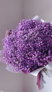 Полезное для начинающих мастеров маникюра