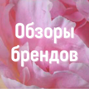 Обзоры брендов Wildberries
