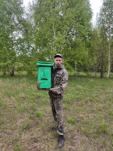 Роеловство 