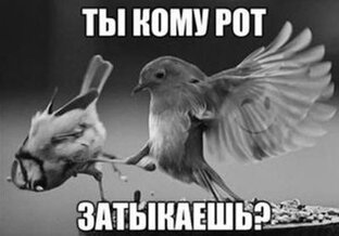 Флуд, философия и демагогия =)