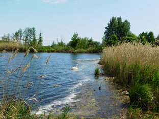 Отдых на природе