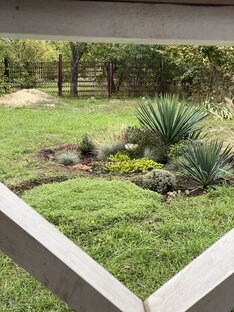 Клумбочка дачника-удачника