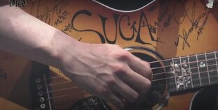 Кот ловит в сети свою мышку