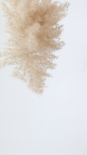 Короткие мастер классы по шитью