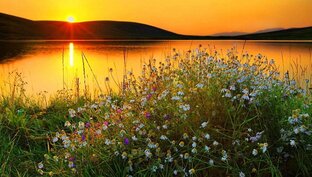 Единственное подлинное счастье