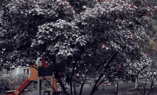 Цикл историй про Рика