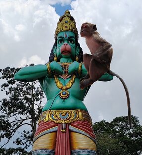 Путешествия