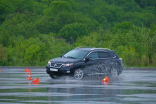 PRO Автоледи