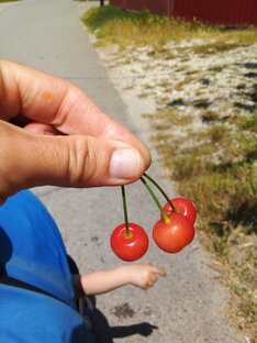 Еда, которая нравится детям и взрослым