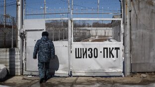 Резонансные статьи.