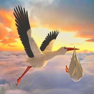 Мой путь к материнству 