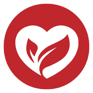 Здоровье сердечно - сосудистой системы 