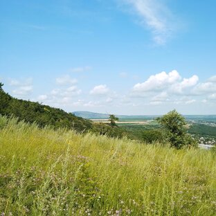 Знакомство с КВМ. Отпуск в Пятигорске. 