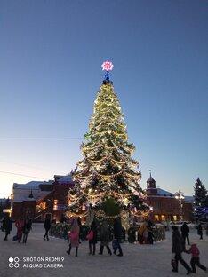 Зимние каникулы.