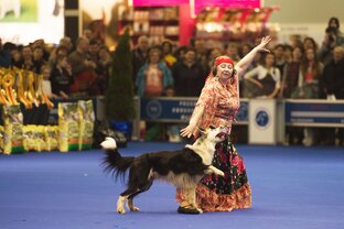 Танцы с собаками