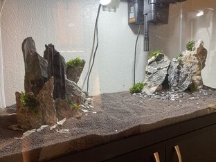 Аквариумная жизнь