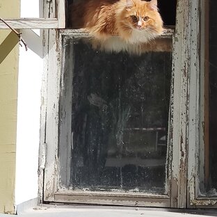 Про квартиры