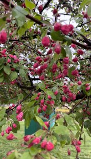 Солнечный Нальчик