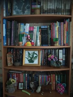 Книжная полка.