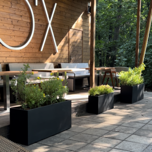 Контейнерное озеленение