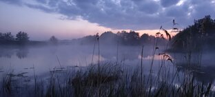 Рыбалка
