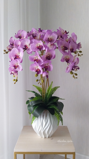 Цветы для дома и офиса! 