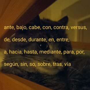 Las preposiciones: предлоги