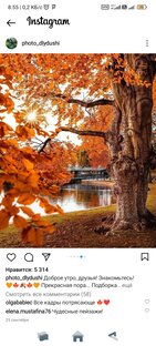 Лепота🐻🗻🌊