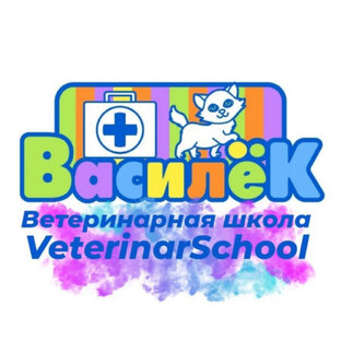 Полезная информация 