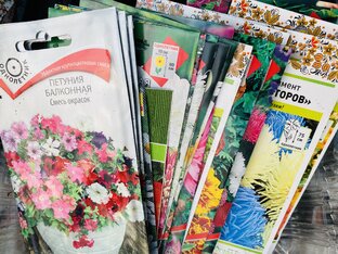 Цветы