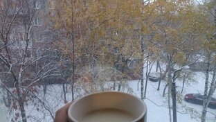 Войти в IT c нуля тестировщиком