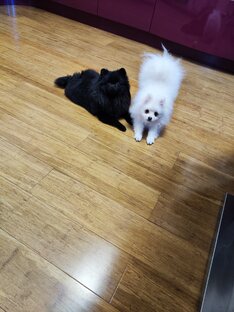 Шприцы и все про них 