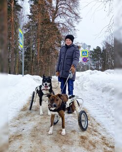 Правила посещения приюта