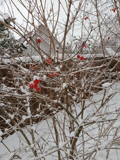 Так и живём...