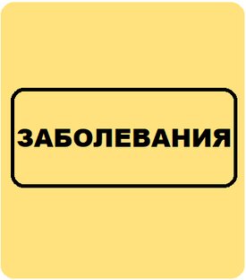 ЗАБОЛЕВАНИЯ