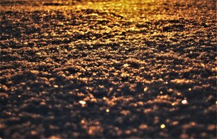 Фотоистории