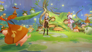 ЗАДАНИЯ СУМЕРУ