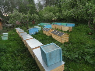 Методы пчеловодства 