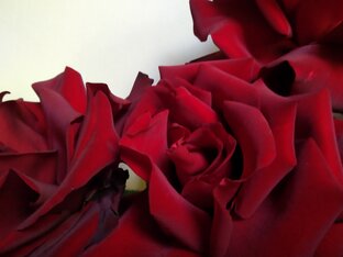 Красные туфельки и цивилизация