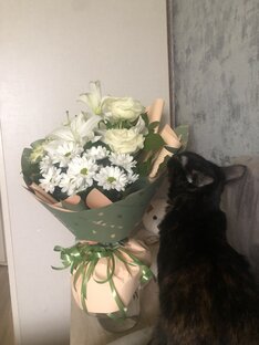 Онкология для всех 