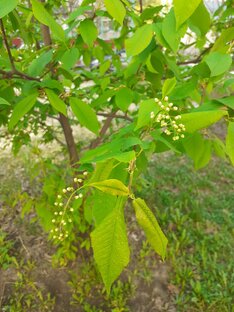 Апрель. Народный календарь