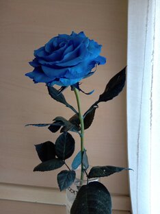 Разное в Италии