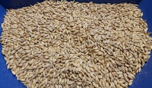 Зерновое сырье