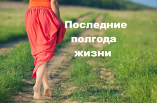 Последние полгода жизни
