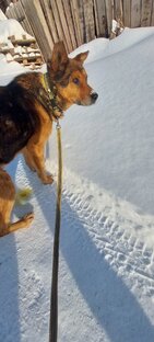 Лаки-счастливчик!