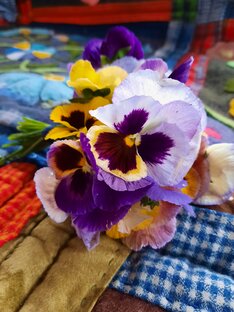 Вот и пригодилось, что летом уродилось!